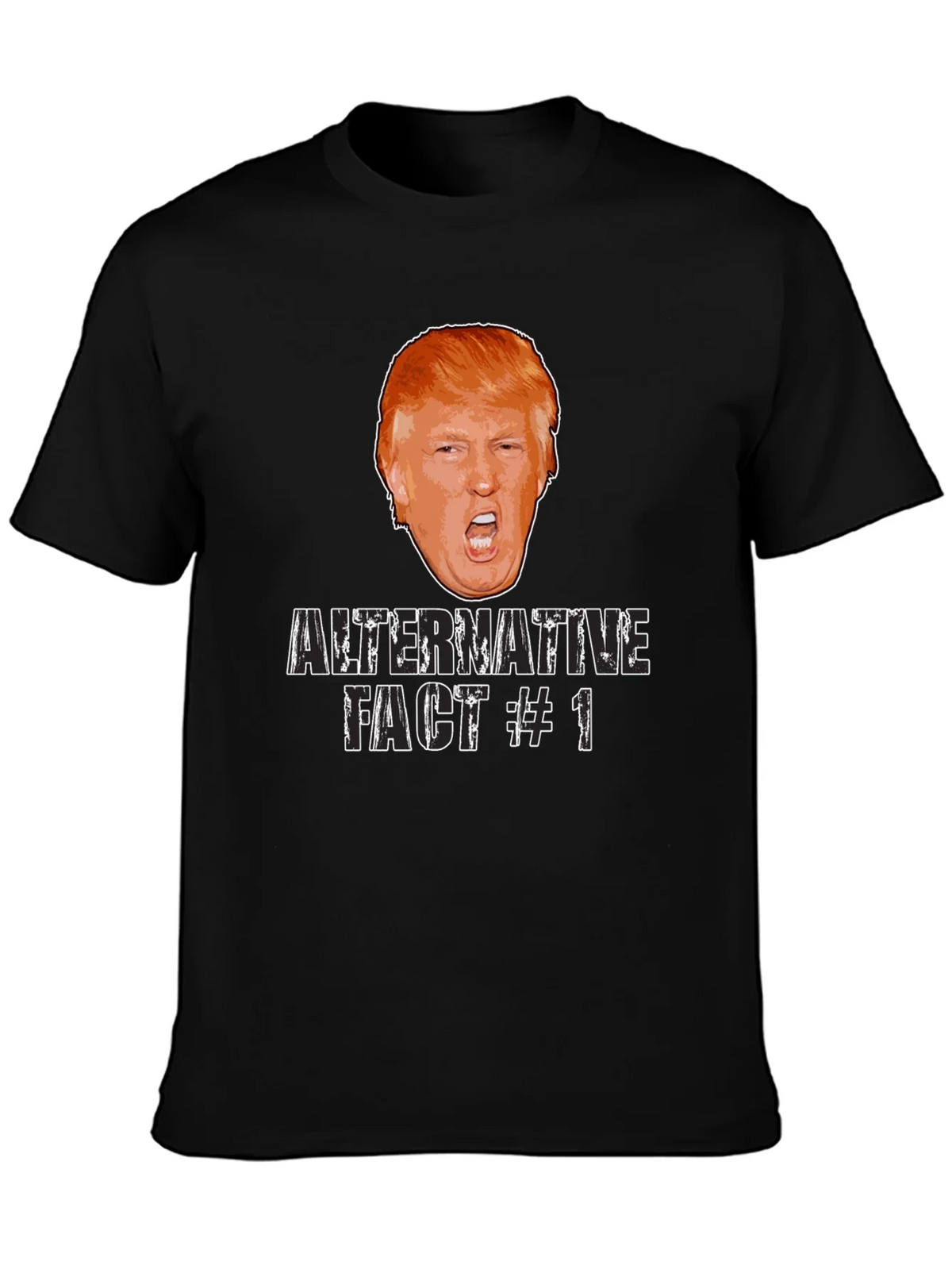 Alternative Fact #1 Graphic Tee product image 3
