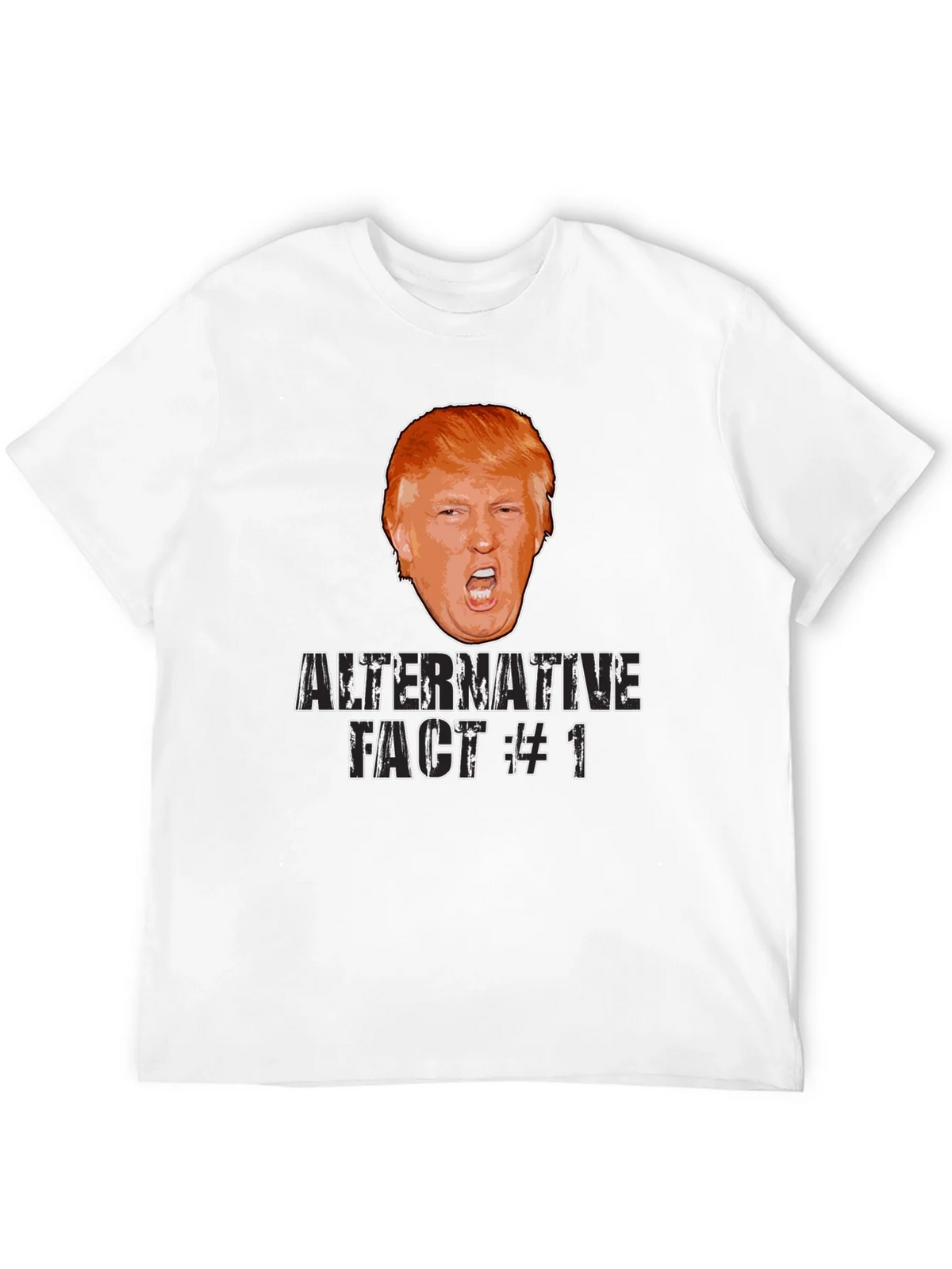 Alternative Fact #1 Graphic Tee product image 11