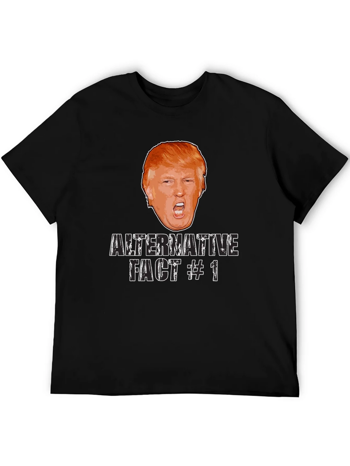 Alternative Fact #1 Graphic Tee product image 5