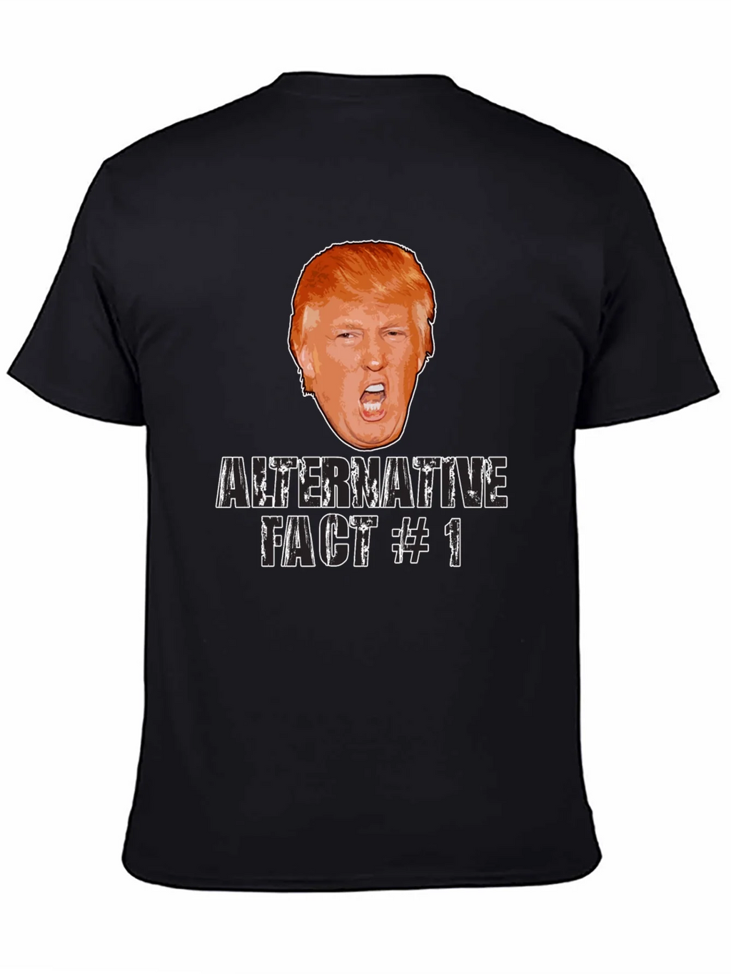 Alternative Fact #1 Graphic Tee product image 4