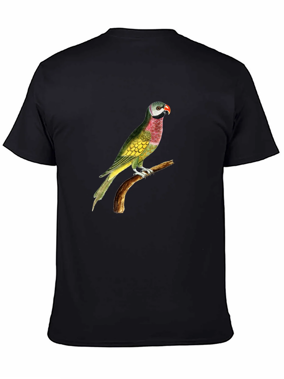 Parrot Graphic Tee - Black Cotton T-Shirt product image 4