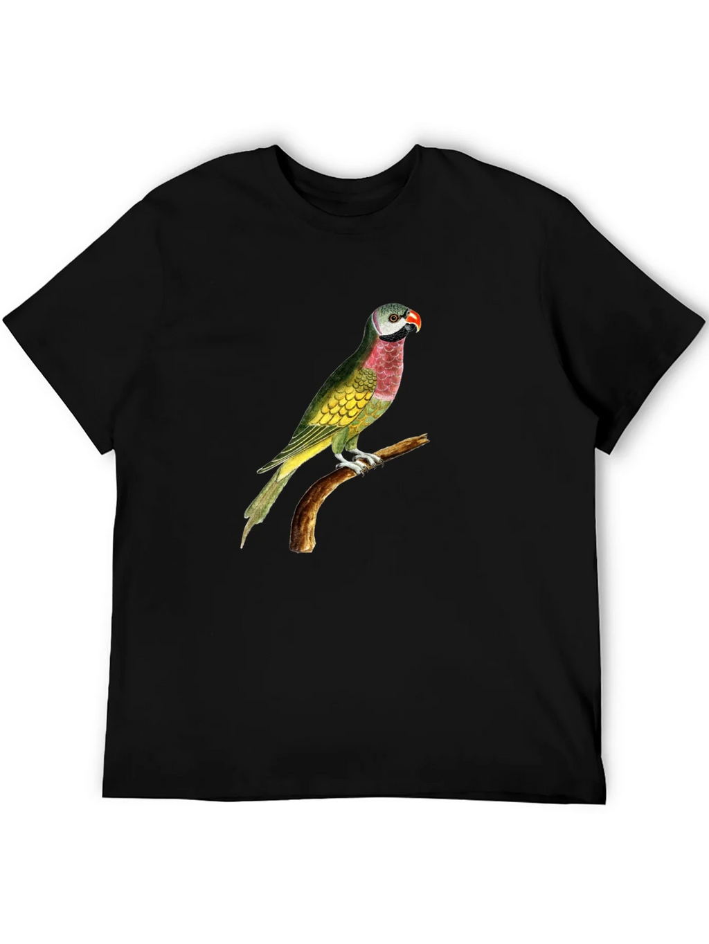 Parrot Graphic Tee - Black Cotton T-Shirt product image 5