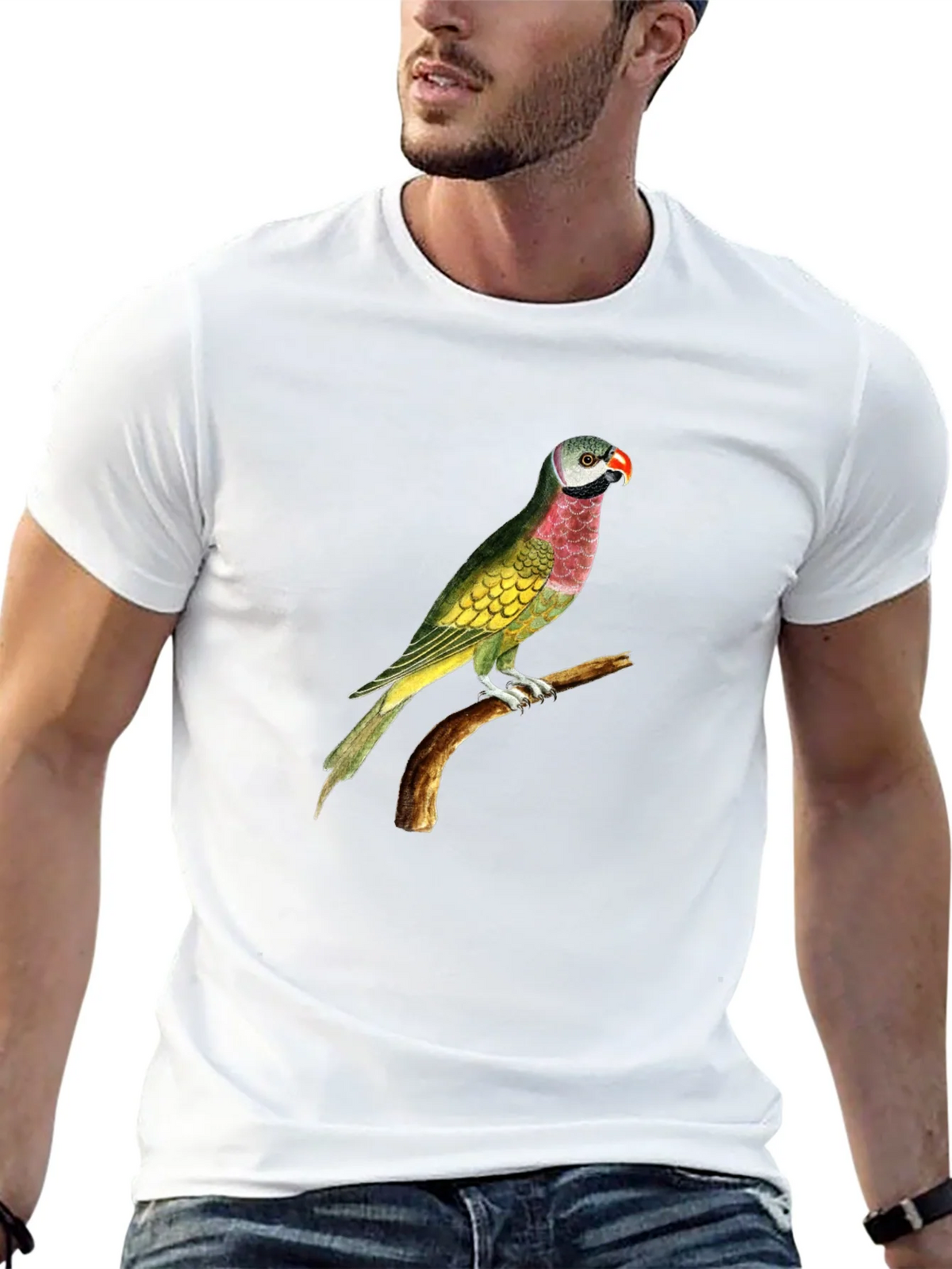 Parrot Graphic Tee - Black Cotton T-Shirt product image 12