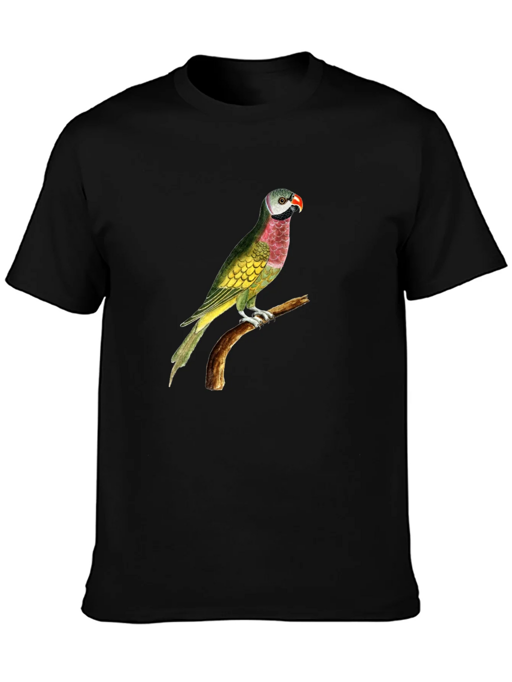 Parrot Graphic Tee - Black Cotton T-Shirt product image 3