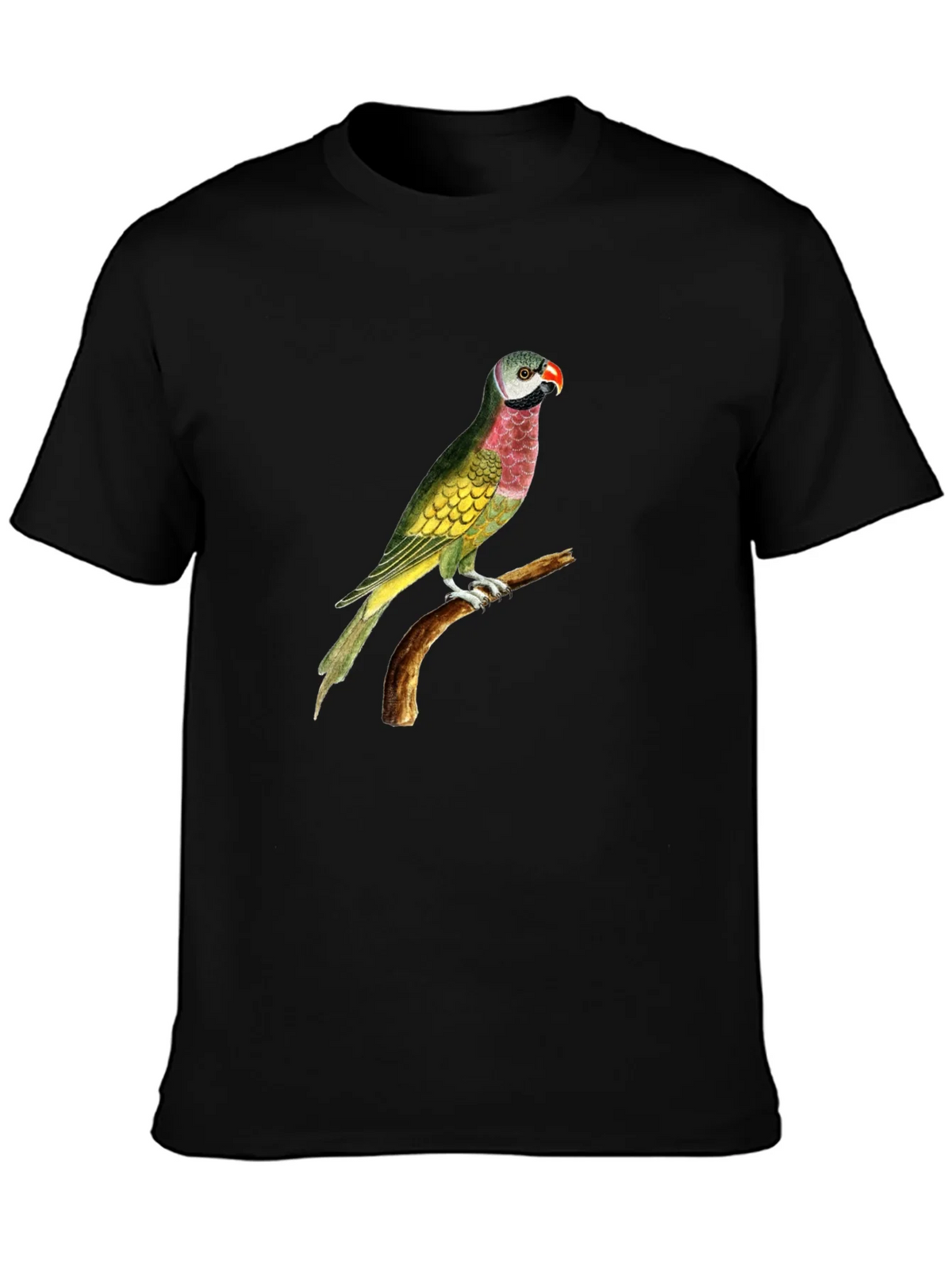 Parrot Graphic Tee - Black Cotton T-Shirt product image 3