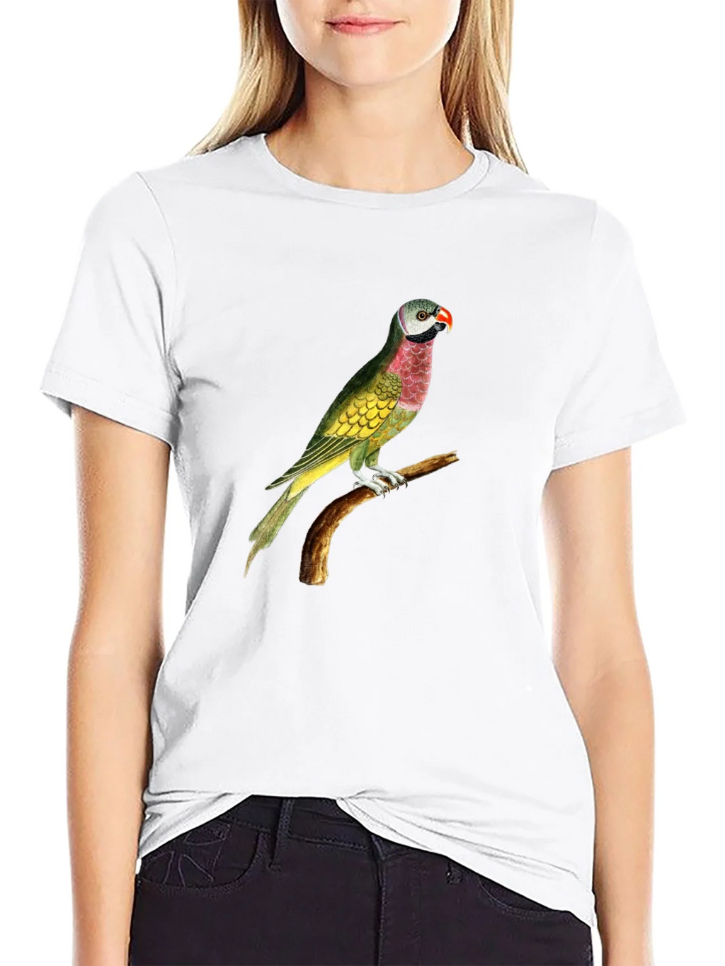 Parrot Graphic Tee - Black Cotton T-Shirt product image 8