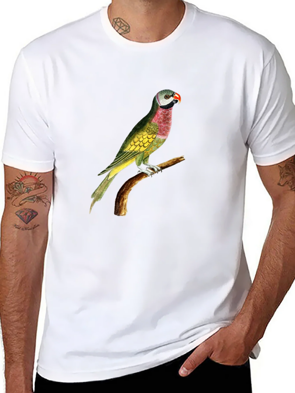 Parrot Graphic Tee - Black Cotton T-Shirt product image 7