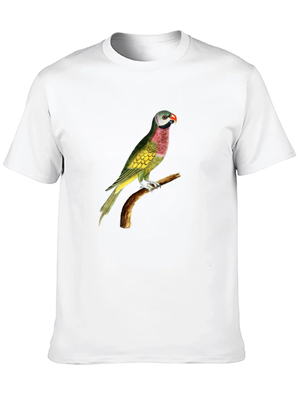 Parrot Graphic Tee - Black Cotton T-Shirt product image 9