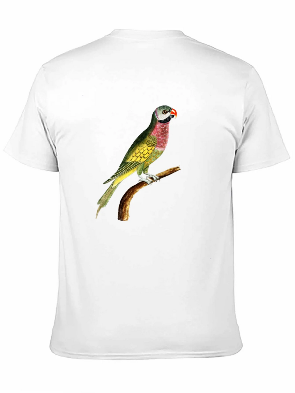 Parrot Graphic Tee - Black Cotton T-Shirt product image 10