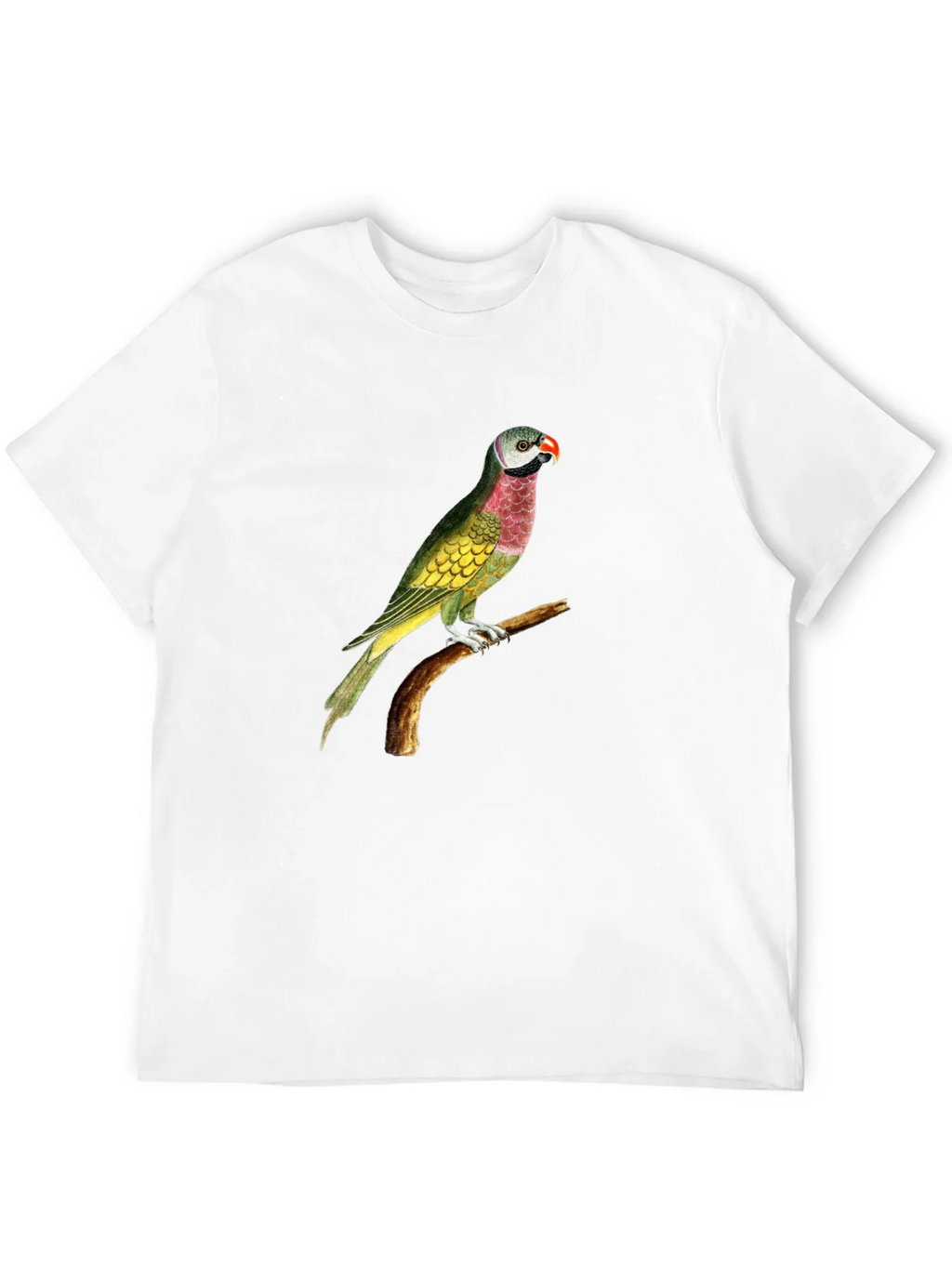 Parrot Graphic Tee - Black Cotton T-Shirt product image 11