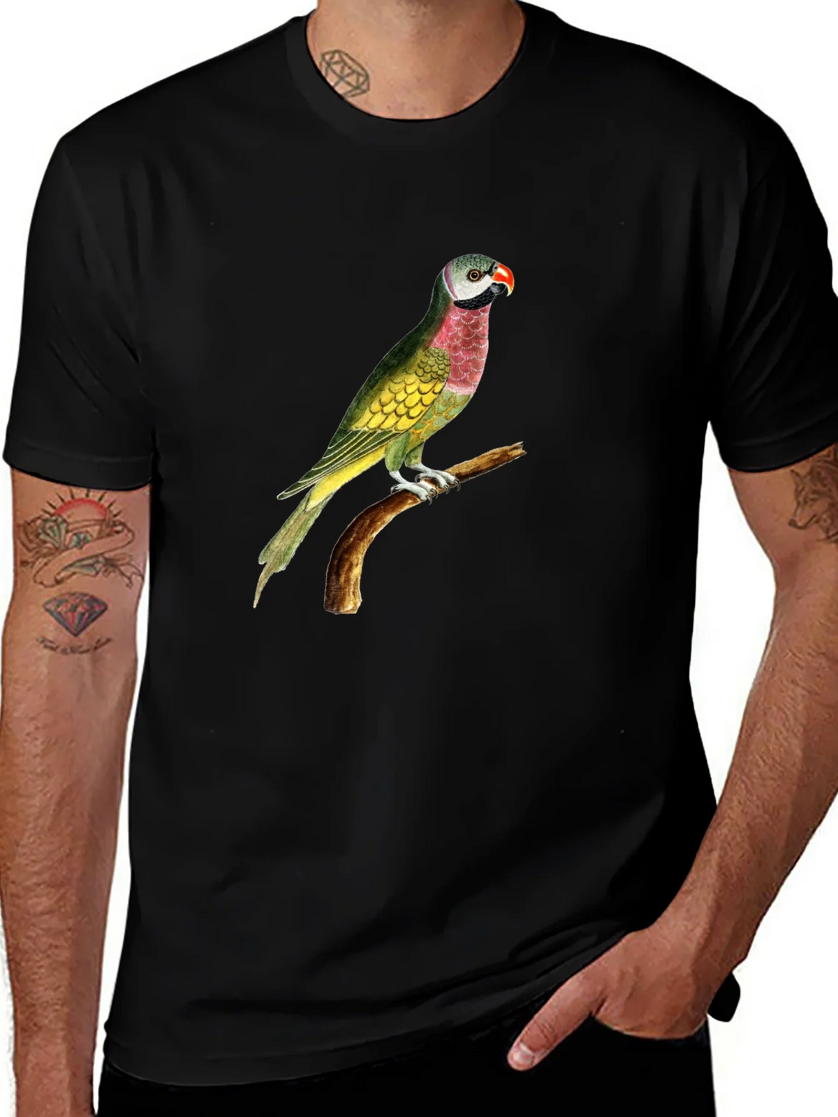 Parrot Graphic Tee - Black Cotton T-Shirt product image 1
